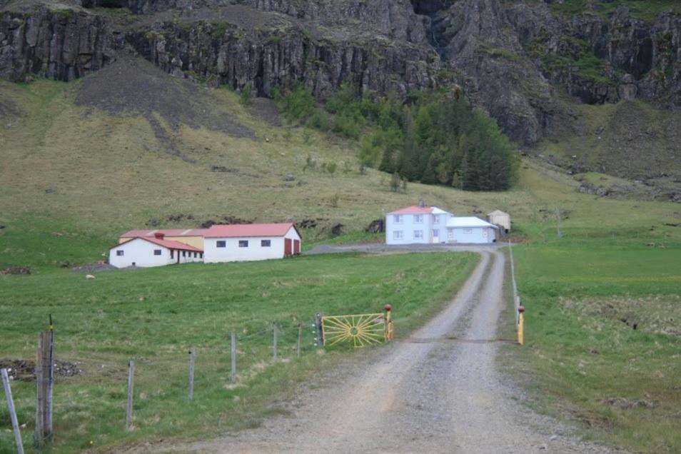 Guesthouse Stekkatun Skalafell Bagian luar foto